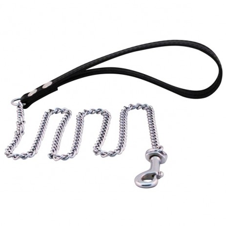 Puppyleash with chain