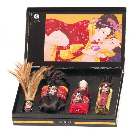 Tenderness & Passion Kit van Shunga