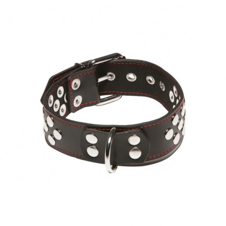 X-PLAY Halsband met D-Ring