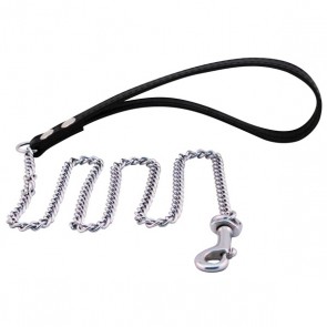 Puppyleash with chain