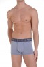 Diesel Divine Boxershort Licht Grijs