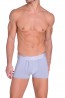 Diesel Divine Microfiber Boxershort Licht Grijs