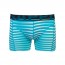Sapph Micro Long Short 2-Pack Petrol Stripe