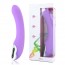 G-spot Vibrator Tri Paars verpakt