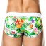 GIGO Tropic Brief AK