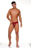 GIGO Female Brief Jockstrap - Wine