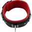 halsband rood