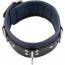 Halsband blauw